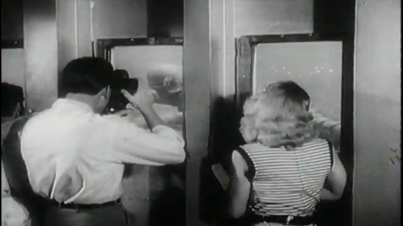 Revenge of the Creature (Jack Arnold, 1955) Trailer