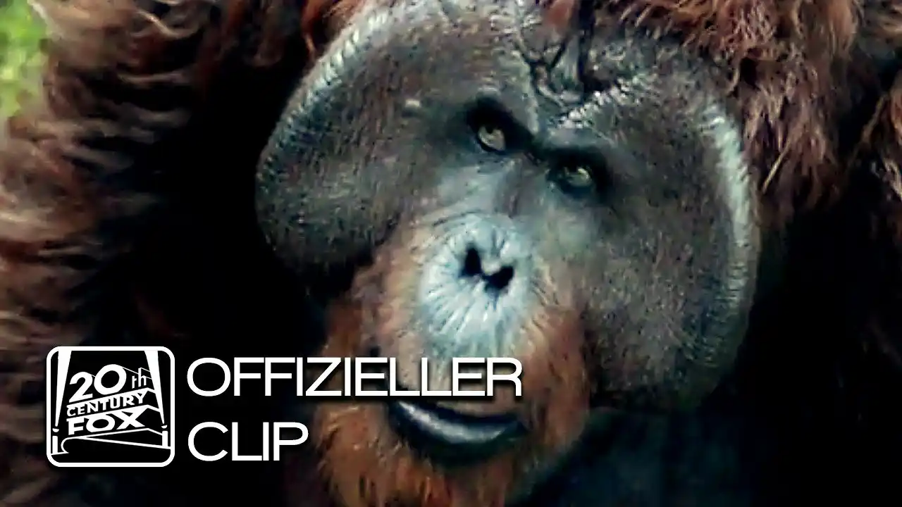 Planet der Affen - Revolution | Wir hingen rum | Clip Deutsch HD