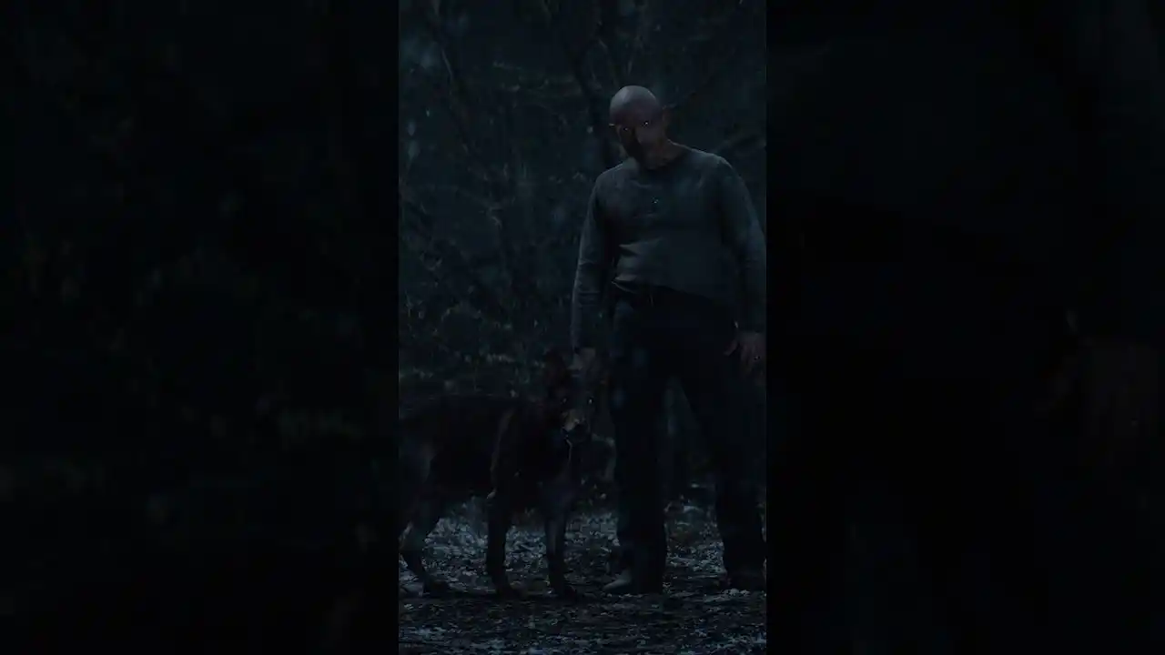 Video: A Deadites best friend. 🔥 #EvilDeadBurn #NationalDogDadDay