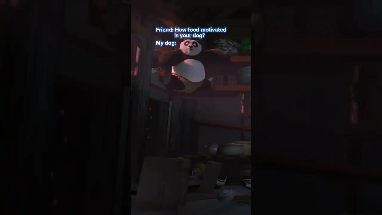 Video: He's Kung Fu-d Motivated 👊 | KUNG FU PANDA