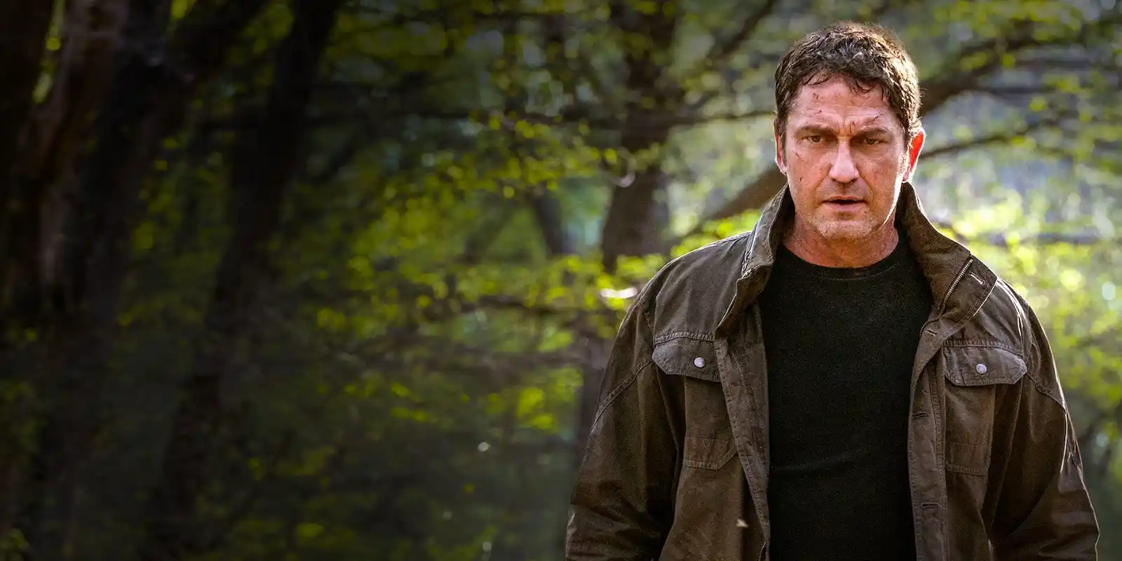 Angel Has Fallen Angel Has Fallen