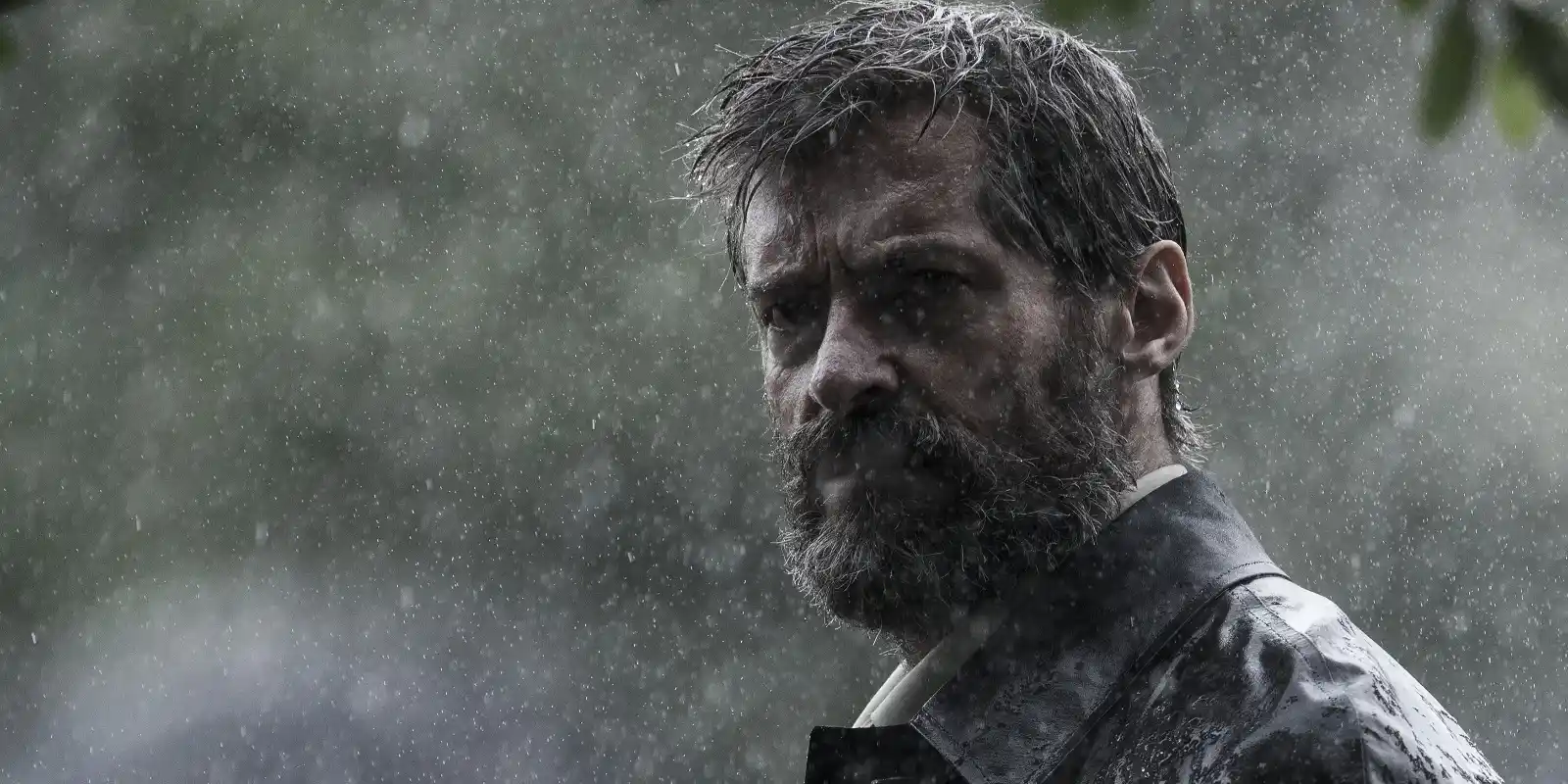 Logan - The Wolverine