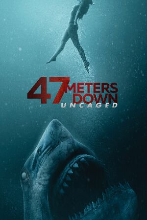 Bild zum Film: 47 Meters Down: Uncaged