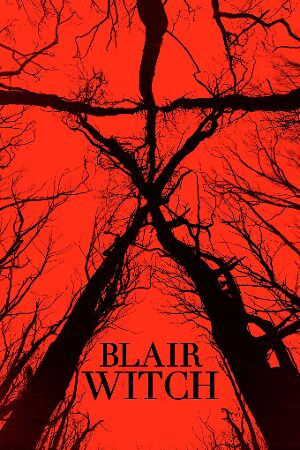 Bild zum Film: Blair Witch