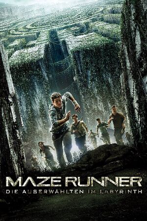 Bild zum Film: Maze Runner - Die Auserwählten im Labyrinth
