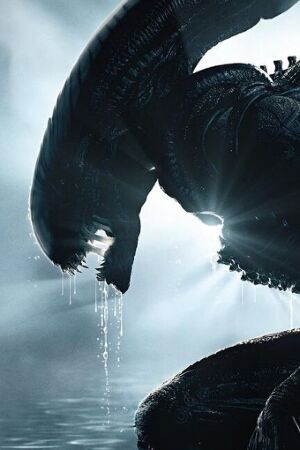 Bild zum Film: Untitled Alien: Romulus Sequel