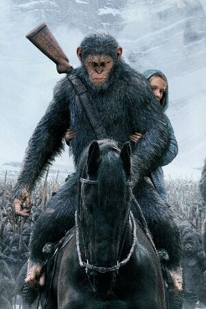 Bild zum Film: Untitled Planet of the Apes Film