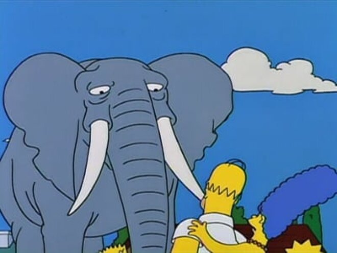 Die Simpsons 05x17 - Bart gewinnt Elefant!