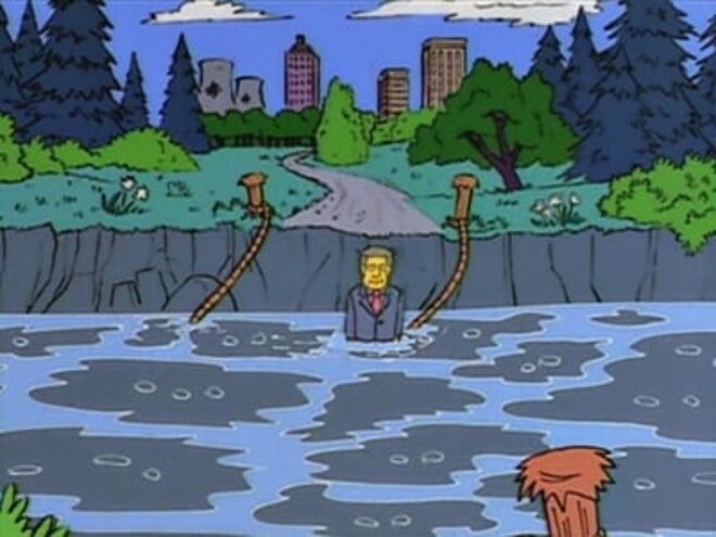 Die Simpsons 05x20 - Bart packt aus