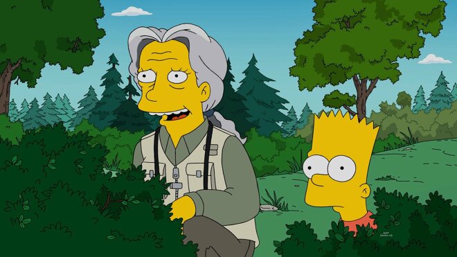 Die Simpsons 28x20 - Auf der Suche nach Mr. Goodbart