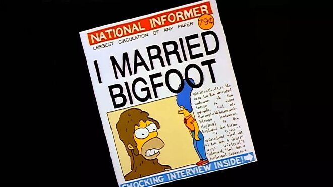 Die Simpsons 01x07 - Vorsicht, wilder Homer!