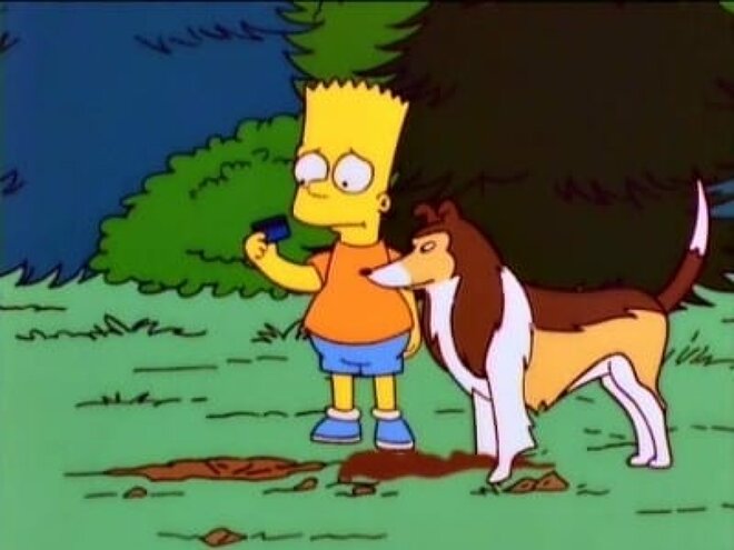 Die Simpsons 08x20 - Der tollste Hund der Welt