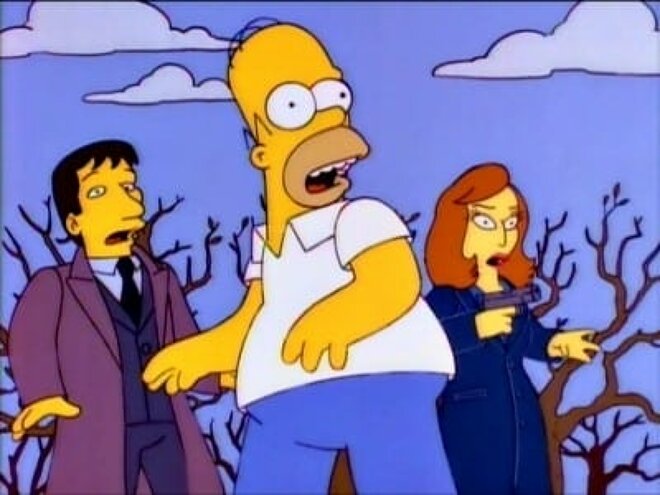 Die Simpsons 08x10 - Die Akte Springfield