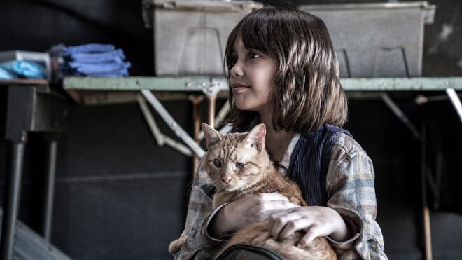 Fear the Walking Dead 08x12 - Episode 12