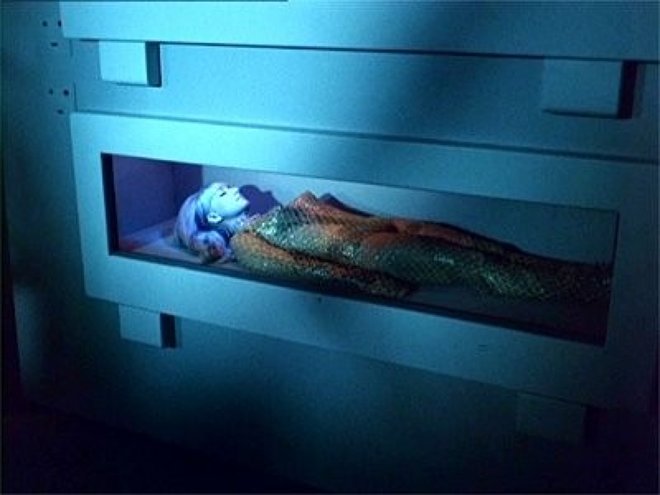 Raumschiff Enterprise 01x22 - Der schlafende Tiger