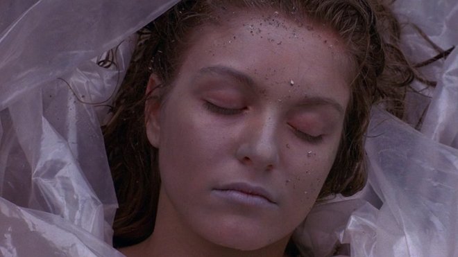 Twin Peaks 01x01 - Das Geheimnis von Twin Peaks