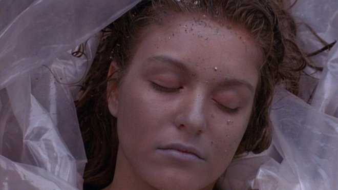 Twin Peaks 01x01 - Das Geheimnis von Twin Peaks