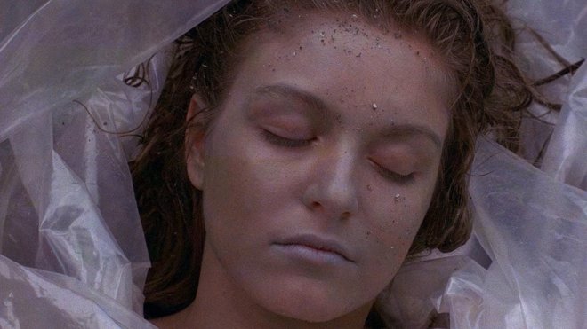 Twin Peaks 01x01 - Das Geheimnis von Twin Peaks