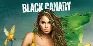 Bild zum Artikel: Black Canary - DC Charakter