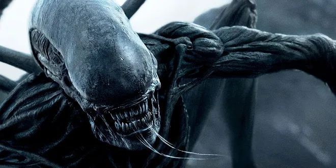 Bild zu: „Prisoners“-Autor Aaron Guzikowski schreibt neuen „Alien“-Film für Ridley Scott