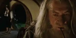 Bild zum Artikel: Herr der Ringe: Ian McKellen zeigt sich erstmals wieder als Gandalf