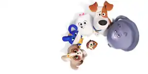 Bild zum Artikel: Pets Filme: Die Reihenfolge der Filmreihe und der Stand zu Pets 3