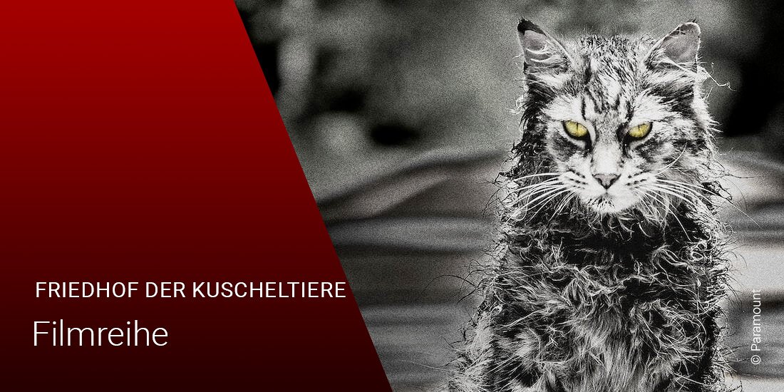 Friedhof der Kuscheltiere: Die Reihenfolge der Filme Friedhof der Kuscheltiere: Die Reihenfolge der Filme
