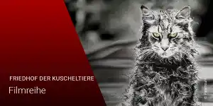 Friedhof der Kuscheltiere: Die Reihenfolge der Filme